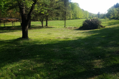 051-Backyard